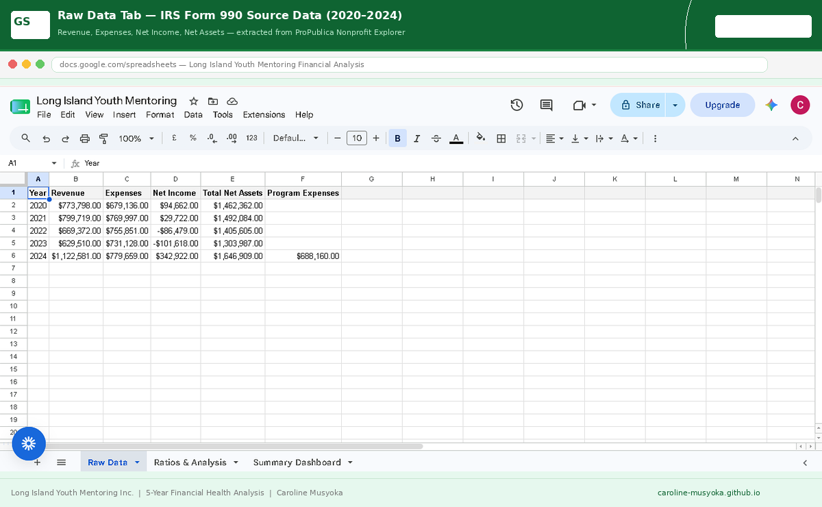 Raw IRS Form 990 Data